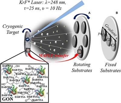 Functionalized Graphene Oxide Thin Films for Anti-tumor Drug Delivery to Melanoma Cells